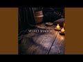 Velvet Shadows