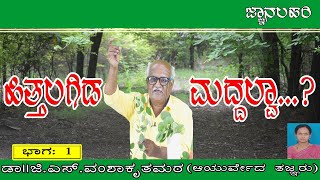 ಅಮೃತಬಳ್ಳಿಯ ಪ್ರಯೋಜನಗಳು Uses of Amruthaballi | Amruthaballi Benefits in Kannada Jnana Lahari ಜ್ಞಾನಲಹರಿ