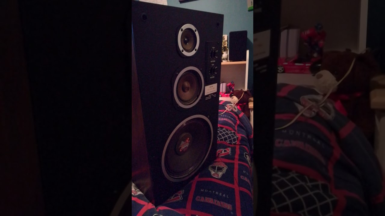 Excursion Aurex Speaker Youtube