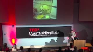 Wheelchair to walking: The power of hope | Geoffrey Raisman | TEDxCourtauldInstitute