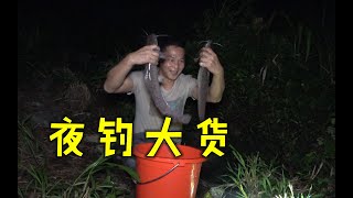 小深潭夜钓真疯狂，大货咬钩瞬间水面都沸腾了，阿琪这次收获满满【农村阿琪】