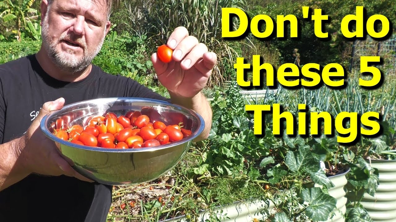 5 Things People Do That Destroy the Taste of Tomatoes