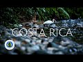 The Beauty of Costa Rica: A Photographer's Paradise