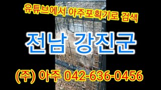 아주포획기 (보조사업용 멧돼지포획틀) 전남 강진군 - 멧돼지 포획, 멧돼지 트랩, 멧돼지 덫 @아주포획기