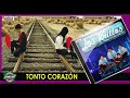 TONTO CORAZON- LOS KRILLOS