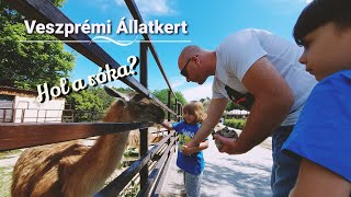 #43 Utazós vlog ~ VESZPRÉMI ÁLLATKERT ~ Elszabadult egy állat / NyáriVlog2020/ VlogTúra