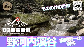 Vol.189 D3B登山部・沢登り『野河内渓谷』