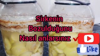 SİRKENİN BOZULDUĞUNU NASIL ANLARSIN- sirke anası nasıl saklanmalı- sirke ne zaman süzülmeli-✔💯