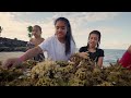 samoa s ocean strategy preserving our lifeline for the future