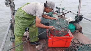 泰叔夫妇俩出海收蟹笼，里面诱饵引来各种海货，鳗鱼青蟹猫鲨真不错