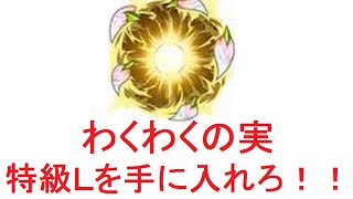 [モンスト]#5　特級Ｌを手に入れろ！！[ひっぱれ！モンスト部！！]