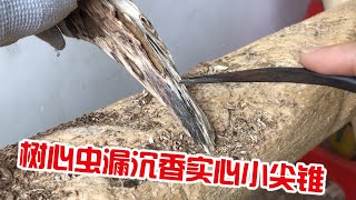 树心虫漏沉香实心小尖锥