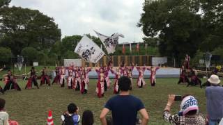 覇瞳海 どまつり2016 中川・荒子公園会場