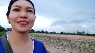 ចំការម្ទេសនិងចំការត្រង៉ែននៅស្រុកខ្ញុំមានតែព្រៃភ្នំ\u0026ចំការដំណាំ(ខេត្ត ឧត្តរមានជ័យ)