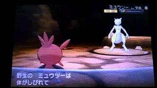 ポケモンXY 色ハリマロンだけでミュウツーを約40秒で捕獲！