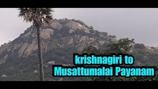 கிருஷ்ணகிரி to முசாட்டு மலை பெருமாள் கோயில் பயணம் | Krishnagiri to Musattumalai Perumal Temple VLOG