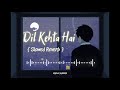 Dil Kehta Hai | Akele Hum Akele Tum | Amir Khan | Manisha Koirala | Slowed Reverb song |