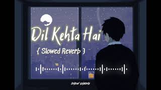 Dil Kehta Hai | Akele Hum Akele Tum | Amir Khan | Manisha Koirala | Slowed Reverb song |