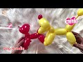 dog poodle balloon animals