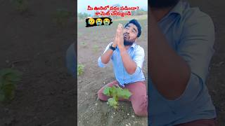 వర్షం లేక