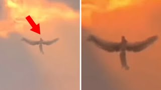Archangel Michael Emerged In Israel And What Happened Next Shocked The World!