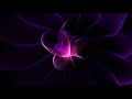 528 hz meditation music open your heart chakra love frequency