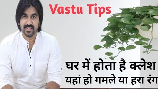 गमले या हरा रंग इस दिशा में देता है क्लेश,Vastu tips,Avoid Green Colour,Vinay Raj