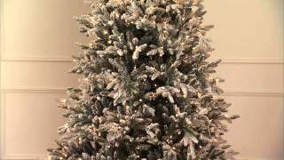 Snowy Nordmann Fir Pro Shape Artificial Christmas Tree