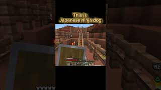 This is Japanese ninja dog 🐕 　なにこの編集　#minecraft #マインクラフト #マイクラ #ps4