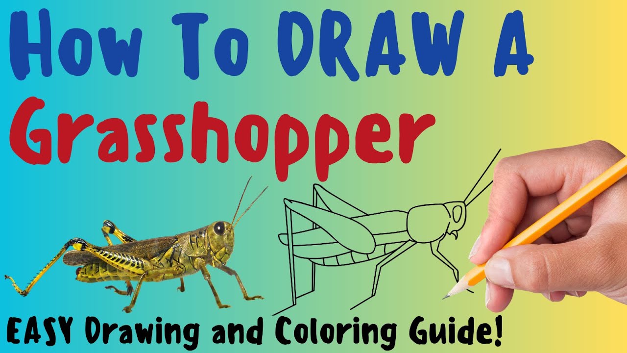 How To Draw A Grasshopper Fun Easy Step By Step Drawing And