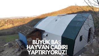 BÜYÜK BAŞ HAYVAN ÇADIRI YAPTIRIYORUZ! #hayvancılık #büyükbaşhayvan #ciftci