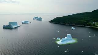 Icebergs, Seal Cove Whitebay, Newfoundland