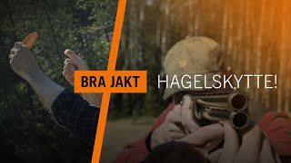 Hagelskytte för en bättre jakt \