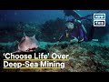 Oceanographer Sylvia Earle on the Dangers of Deep-Sea Mining