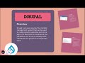 wix vs drupal beginner friendly vs advanced cms full comparison 2024