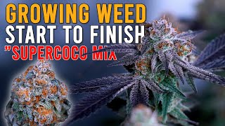 HOW I GREW WEED FROM START TO FINISH IN "SUPERCOCO MIX" JUST ADD WATER! CRAZY PLANT TRANSFORMATION