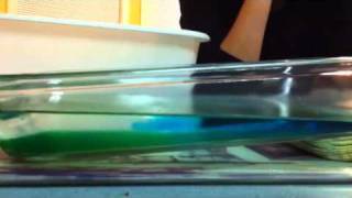 Ocean Current Salinity Experiment
