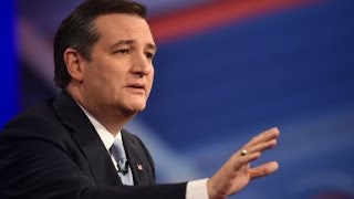 Ted Cruz denies using 'Gestapo tactics'