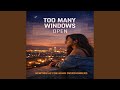 Too many windows
