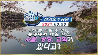 [울산] 선암호수공원 / 남구 선암동 / Ulsan Korea / 윤미디어