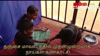 தஞ்சை மாவட்டத்தில் முதன்முறையாக நாய்கள் கண்காட்சி