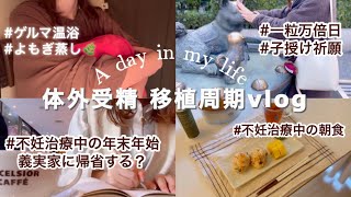 【vlog】不妊治療中の年末年始は義実家に帰省する？義実家に不妊治療を伝えた反応は‥？😶移植前によもぎ蒸し&一粒万倍日に子授け祈願