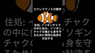 この動画で、カクレクマノミの興味深い生態について詳しく解説します！VOICEVOX:ずんだもん#カクレクマノミ #性転換 #海の生物 #イソギンチャク #サンゴ礁 #海洋生態 #雑食性 #沖縄の生物