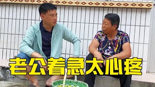 婆婆不在家老公地里摘豆角，刚进家奶奶说了啥？老公急得只想哭【倔媳妇】