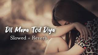 Dil Mera Tod Diya (Slowed+Reverb) - Alka Yagnik | Kasoor | Bollywood Lofi | Old Melody| Reverb world