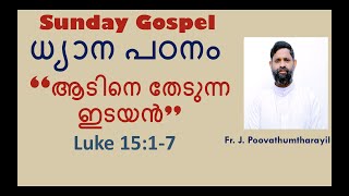 12 July Sunday | Luke 15:1-7 | Study and Reflections - Fr Joseph Poovathumtharayil