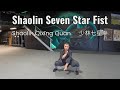 Shaolin Qixing Quan – Shaolin Seven-Star Fist | Shaolin Kung Fu Demonstration