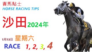 「賽馬貼士」🐴  2023 年 1 月 13 日, 沙田🐴    香港賽馬貼士  HONG KONG HORSE RACING TIPS  🐴 RACE  1  2  3  4