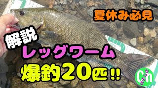 【レッグワーム】爆釣❗️20匹‼️ヤバい夏バスの狙い方‼️【6月】【7月】【夏休み】【オススメ】【リザーバー】