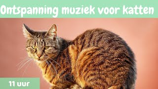 #13| Ontspanning muziek voor katten 🐱 ontspannen muziek voor katten en Kittens 🐱11 uren